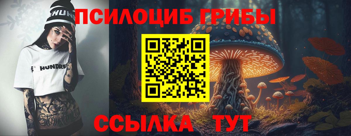 Псилоцибиновые грибы GOLDEN TEACHER Вышний Волочёк