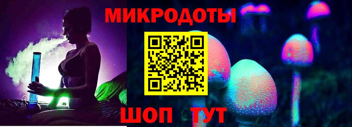 Вышний Волочёк  Галлюциногенные грибы Psilocybe  Вход с VPN 